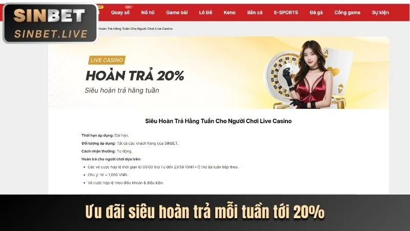 Ảnh minh họa chuyên mục Tin tức & Cập nhật